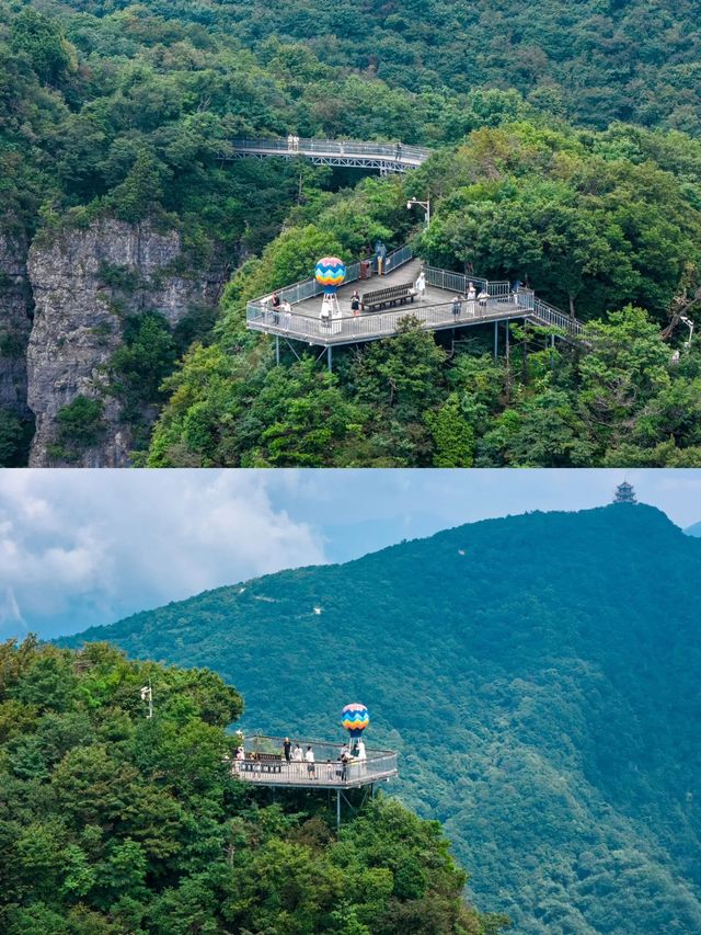 龍頭山雲端漫步｜被這處天然氧吧仙境種草了