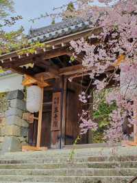京都深度遊|直接棄清水寺！三千院才是yyds