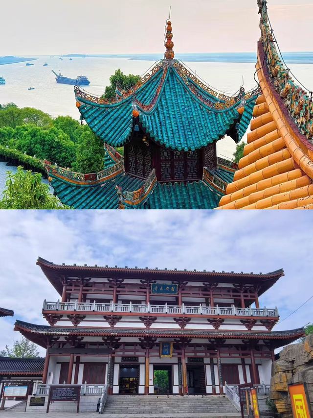 岳陽已回，我的建議是…跟著風兒去旅行