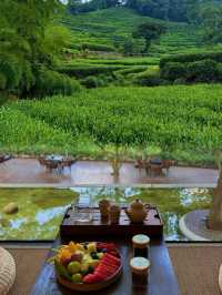 杭州龍井茂居，入住昆凌同款酒店