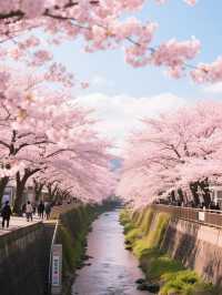 名古屋櫻花二日遊：古城花事與現代風華的對話