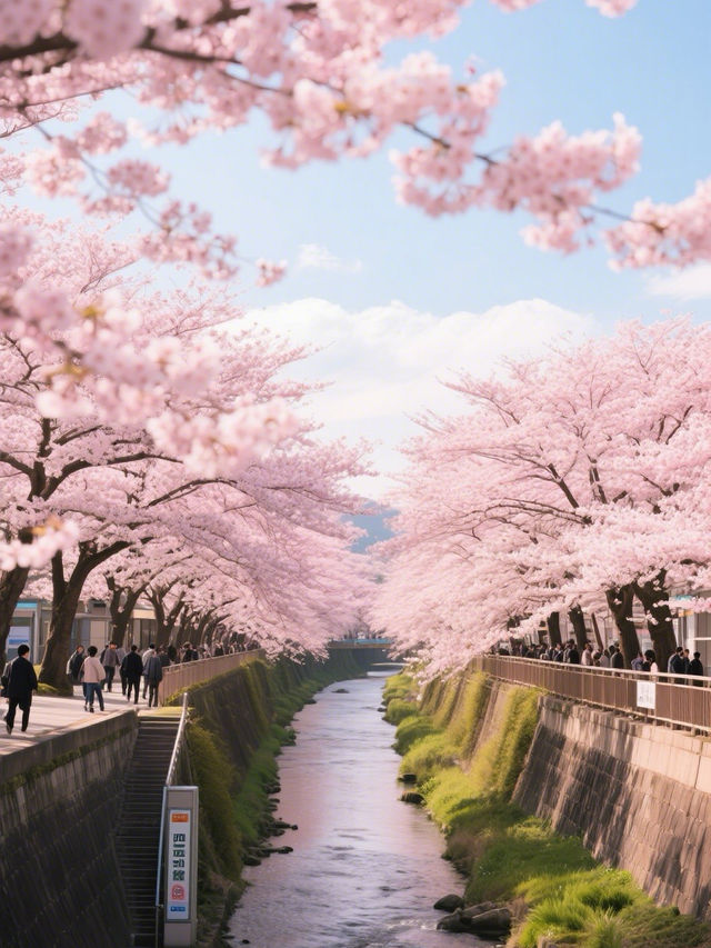 名古屋櫻花二日遊：古城花事與現代風華的對話