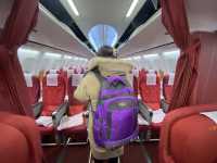 Hainan Airlines Experience - The only 5 star airlines in China 🇨🇳