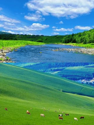 Chifeng Must-Visit: The Four Seasons Splendor of Ulan Butong Grassland