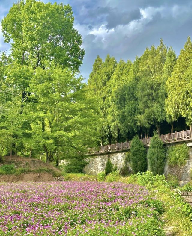對天台山失去所有力氣和手段