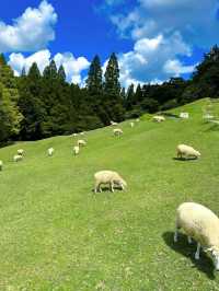 六甲山牧場，誰說宮崎駿的世界只在動漫裡