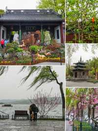杭州西湖春日賞桃指南，春日裡的限定浪漫