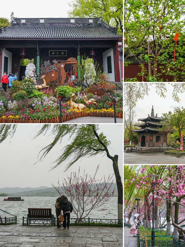杭州西湖春日賞桃指南，春日裡的限定浪漫