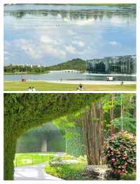 上海必去！呢個公園承包你所有快樂！