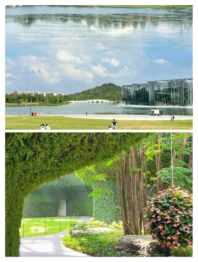上海必去！呢個公園承包你所有快樂！