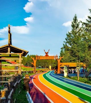 Chengde Colorful Forest | A Fairytale-like Dream Trip