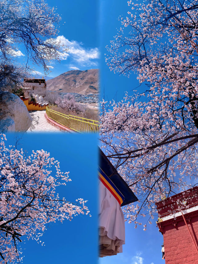 拉薩——離天堂最近嘅地方，靈魂嘅淨土！