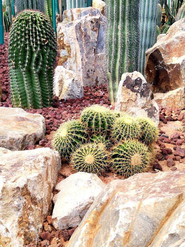 南昌珍奇植物園全攻略