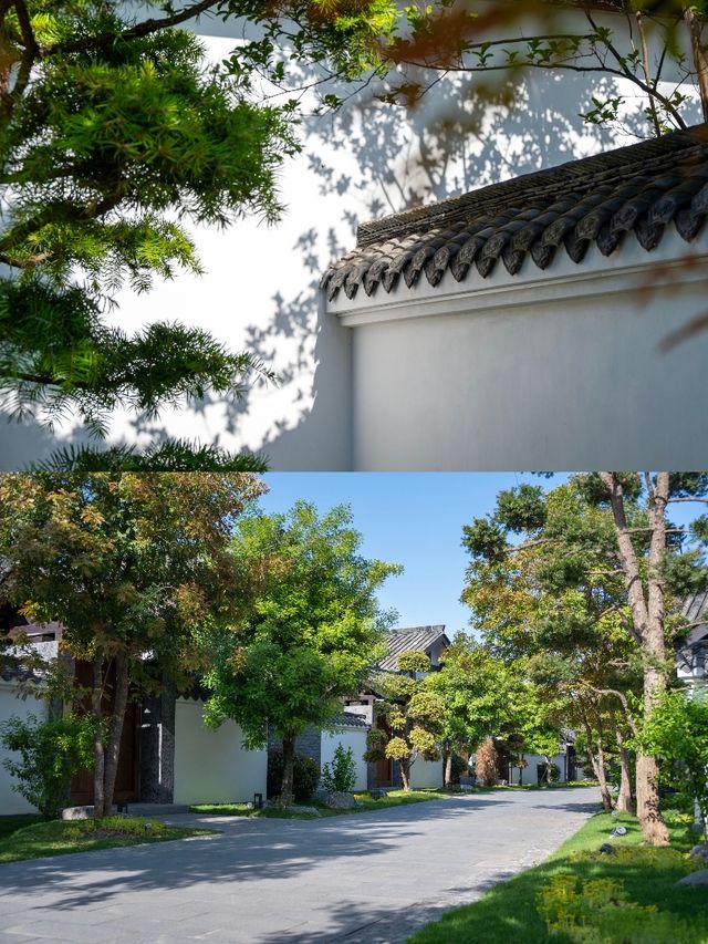 廣漢呢間園林酒店，帶埋阿爸阿媽去旅行超出片又慳心！