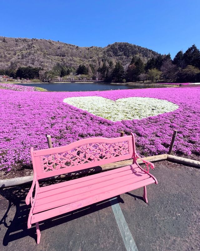 富士山下｜富士芝櫻祭全攻略