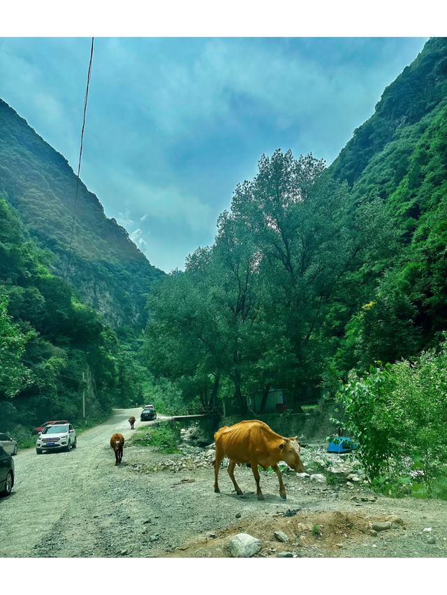 西安玩水夏天私藏已久的免費玩水聖地