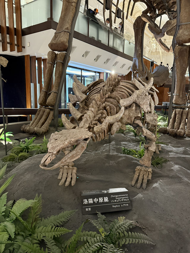 Roar-some Dinosaur Exhibits At The Natural History Museum Of Taiwan 