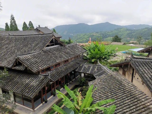 泰順筱村公社：繡球花海與童話世界