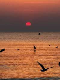 【2025日出封神攻略】北戴河必睇5大秘境！附全年觀賞指南