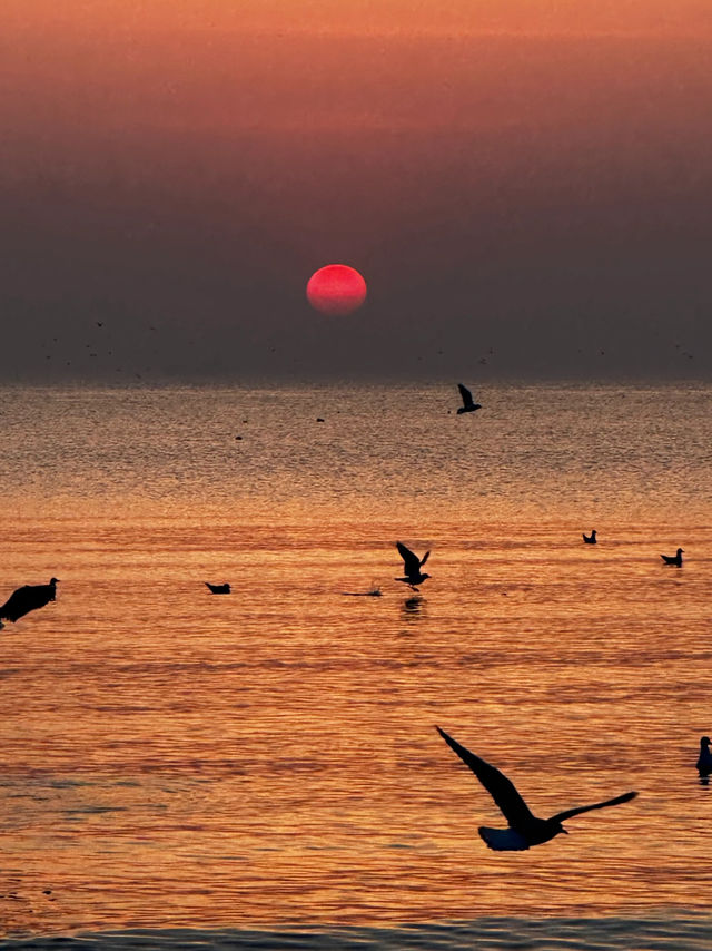 【2025日出封神攻略】北戴河必睇5大秘境！附全年觀賞指南