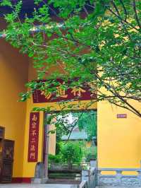 端午尋禪問道！香港高鐵3小時直達南華禪寺禮佛靜心之旅