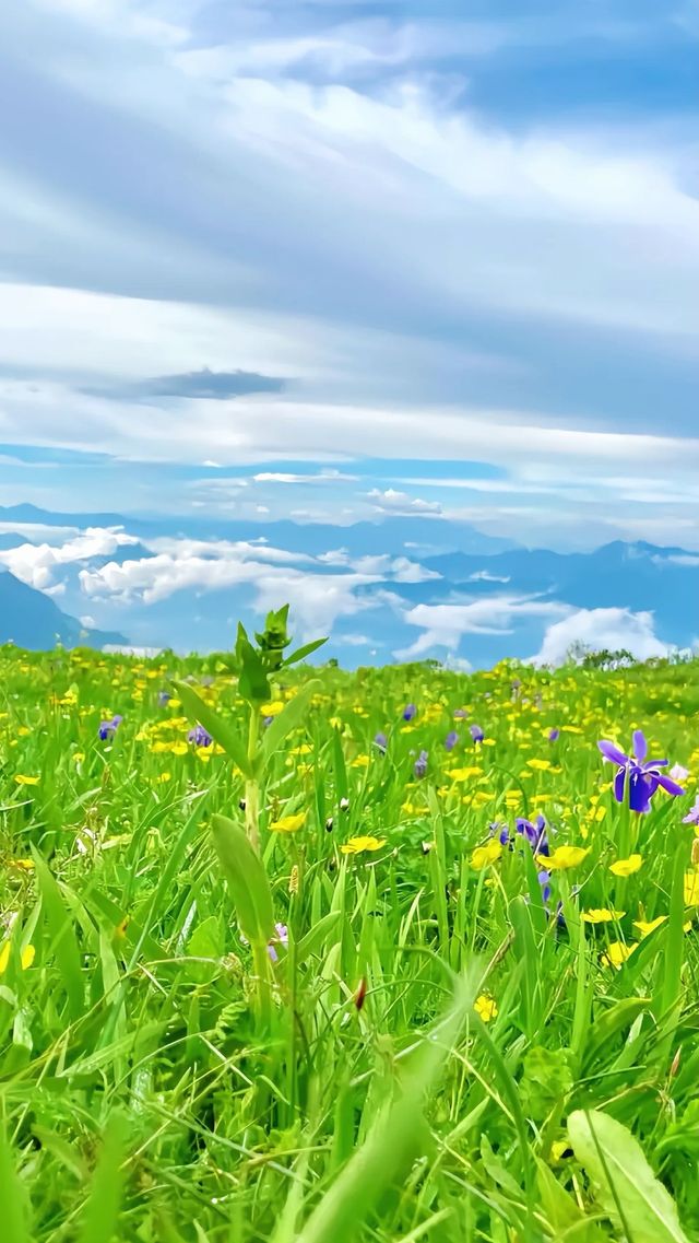 川西嘅天花板 唔使講都係九頂山
