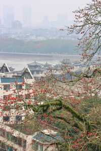 潮州週末兩日遊 | 穿越千年嘅煙火之旅