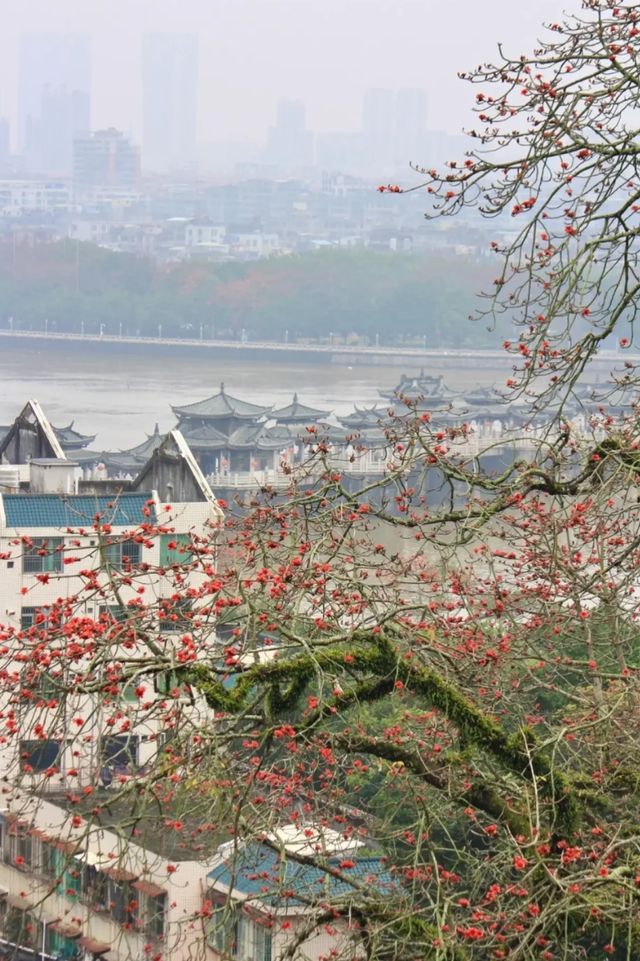 潮州週末兩日遊 | 穿越千年嘅煙火之旅