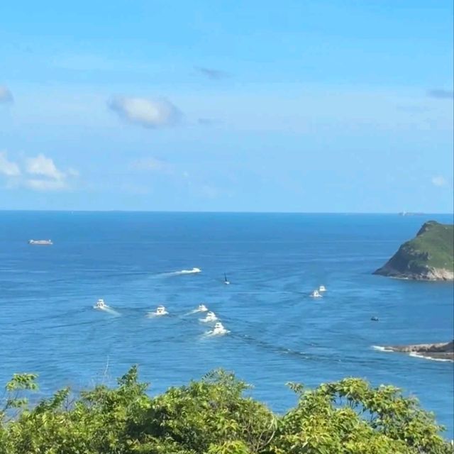 🌿清水灣公園呢片綠到發亮嘅草坪真係治癒到爆！