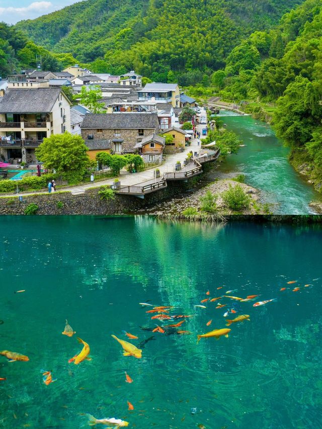 一篇玩轉桐廬！超詳細旅行避坑指南！！！