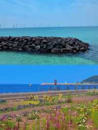 淡季嘅濟州島/真係人間理想啊……