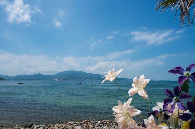 深圳海邊一日遊攻略