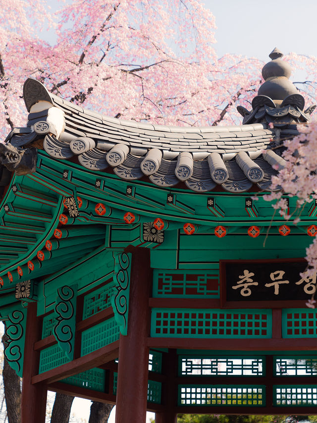 4月呢度靚到爆！唔去真係蝕底！