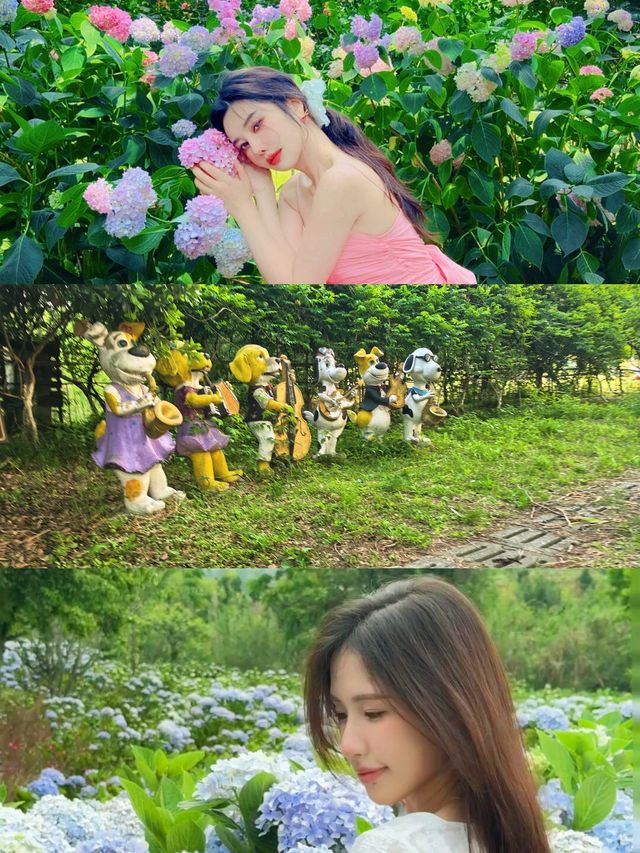 六月揚州，邂逅慢時光與浪漫花海