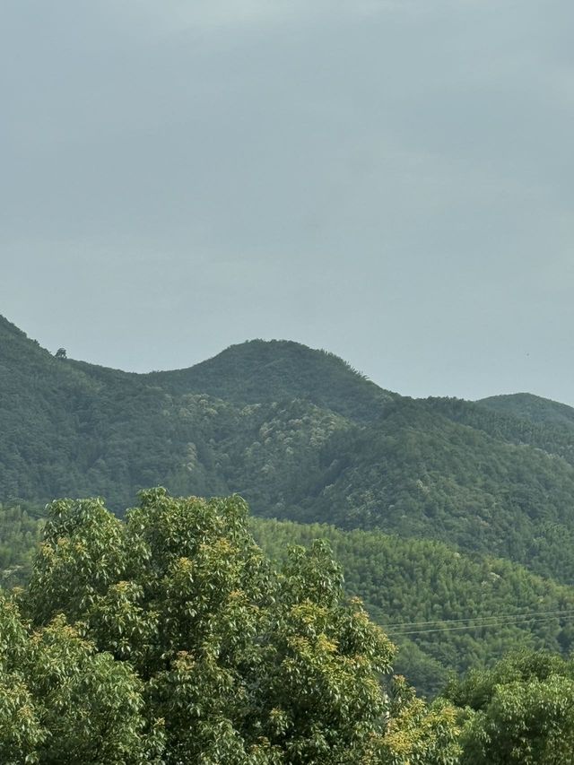 邂逅理想居所