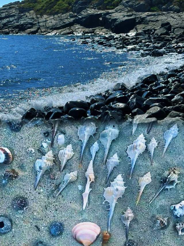 喺平潭實現咗執海螺執貝殼自由，人少景靚