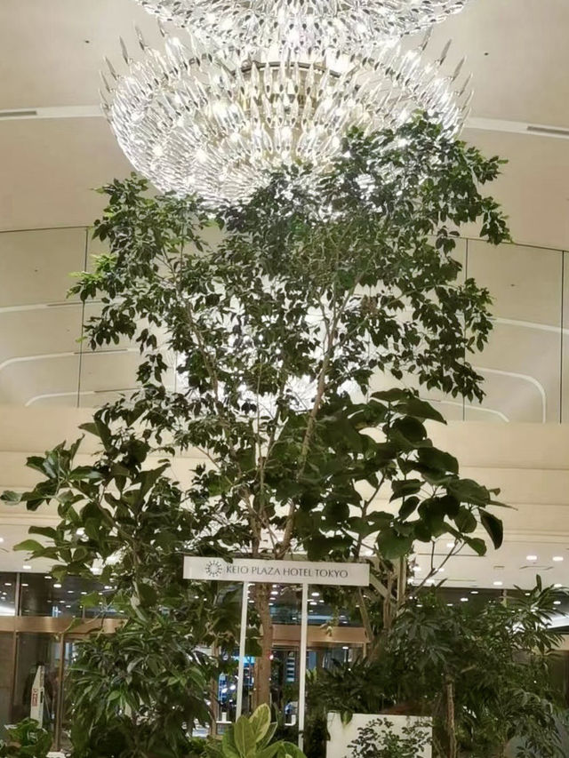 在雲端之上游動：京王廣場的泳池午後