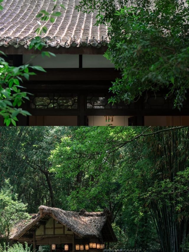 成都受罪已回，真唔建議6月份嚟