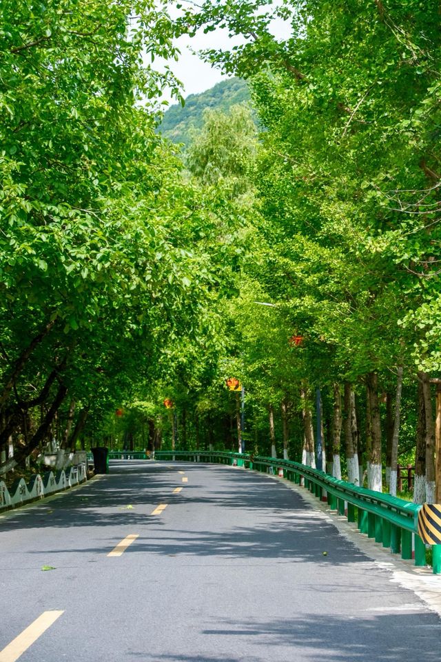 22℃嘅夏天！秦嶺留壩令青城山「輸到貼地」