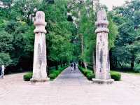 Nanjing for the Backpacker: Unveiling Layers of History and Modern Grit