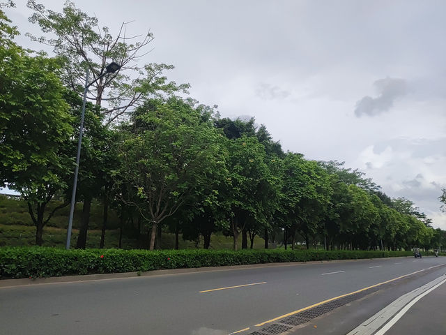 《深圳慢旅，蔚徕酒店的治癒時光》
