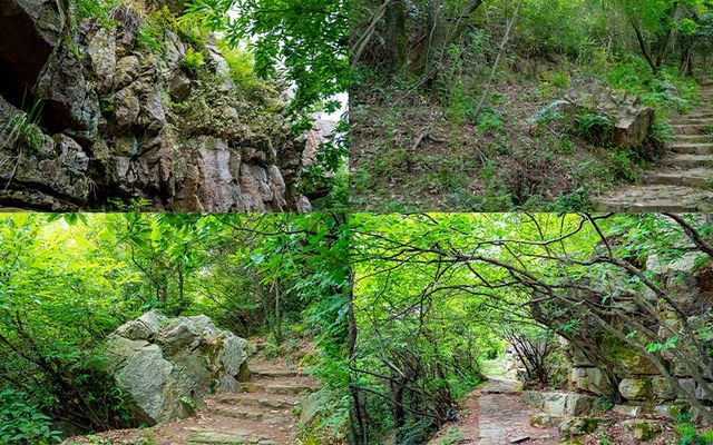 喺返工同進修之間選擇上山  ‖  太湖山野徒步旅行計劃