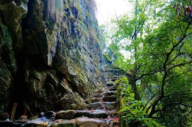 紅色記憶一日行：遂川長征精神深度體驗