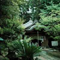 大阪秘境｜藏在生駒山的治癒系古寺，99%遊客都不知道！✨ 