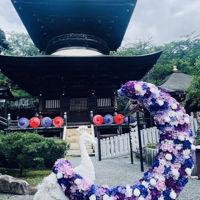 🌊 Ibaraki Summer Adventure: Hidden Gems Near Tokyo!