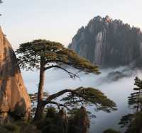 跨越山海，邂逅三色中國 | 黃山、哈爾濱、煙台深度漫遊