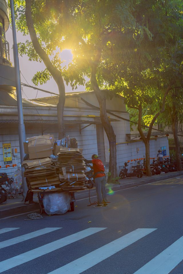 佛山禪城何崗老街|解鎖小眾寶藏打卡地