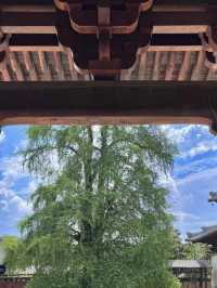 比京都更幽靜嘅濮院古鎮,解鎖25℃嘅宋式夏日