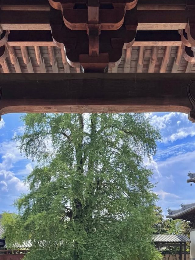 比京都更幽靜嘅濮院古鎮,解鎖25℃嘅宋式夏日 比京都更幽靜嘅濮院古鎮,解鎖25℃嘅宋式夏日