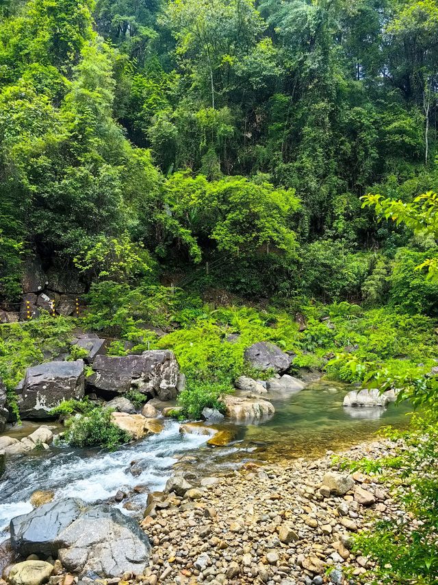 深圳2.5小時直達南昆山，避暑勝地！